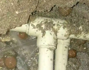 雷山测漏水多少钱