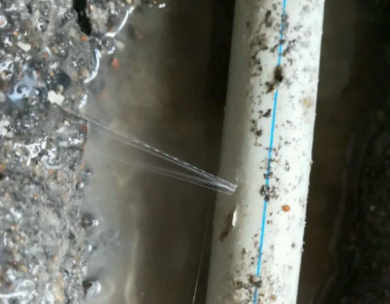 雷山测漏水哪家好