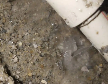 雷山测漏水电话号码