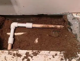 雷山测漏水哪家好