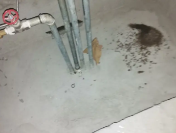 雷山卫生间测漏水价格明细