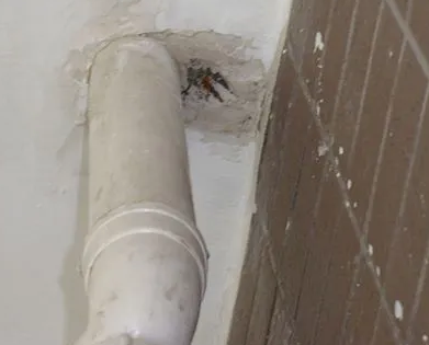 雷山漏水检测哪家好